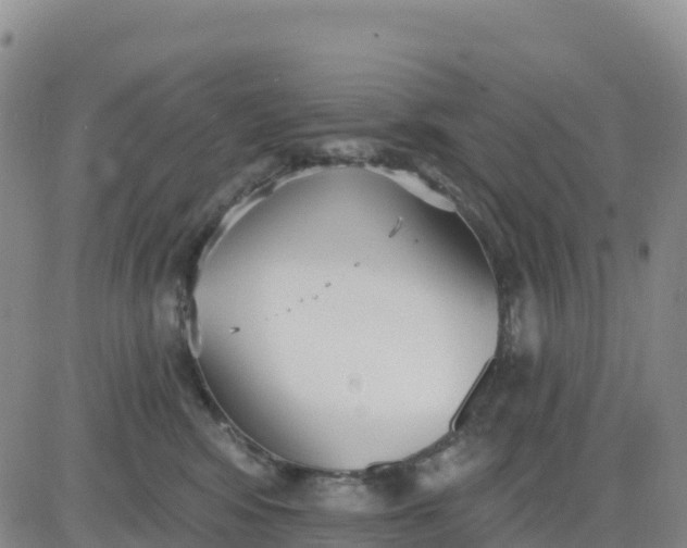 X0000080670424200612301405