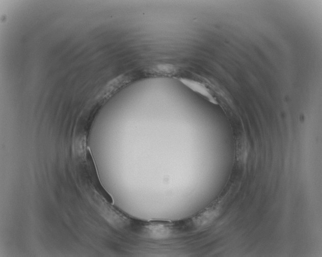 X0000080670425200612301405