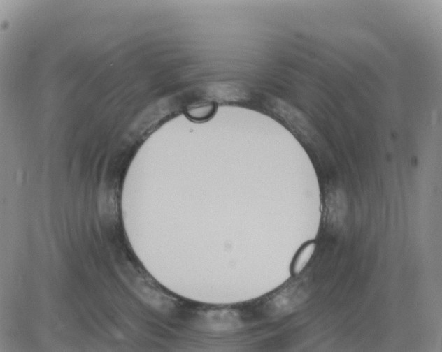 X0000080670426200612301405