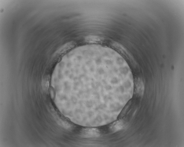 X0000080670427200612301405