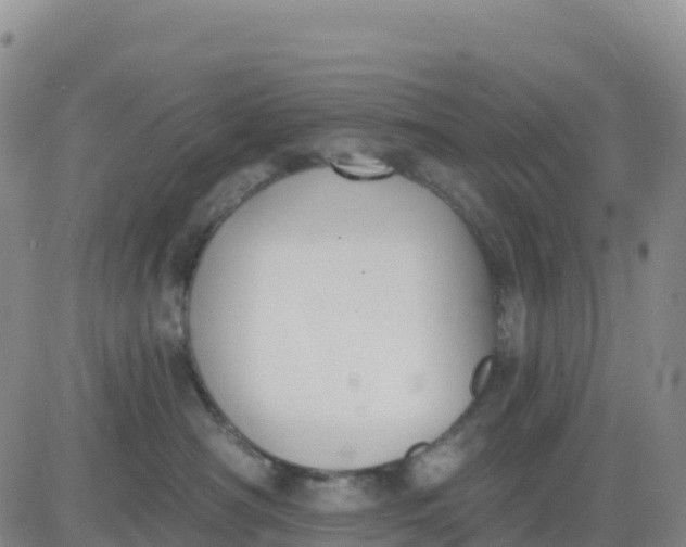 X0000080670430200612301404