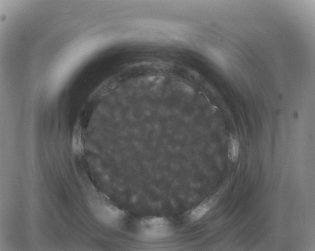 X0000080670431200612301404