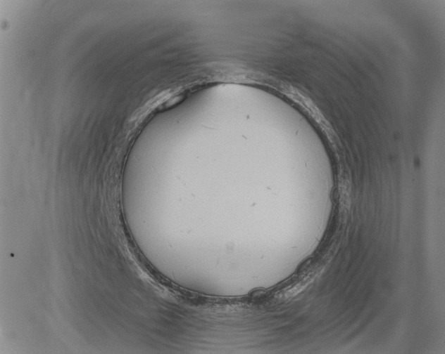 X0000080670433200612301404