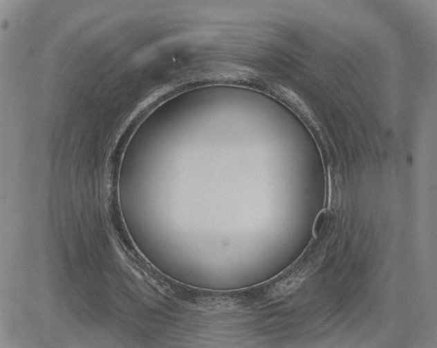 X0000080670435200612301404