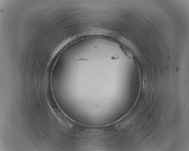 X0000080670436200612301404