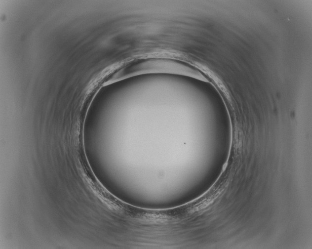 X0000080670437200612301404