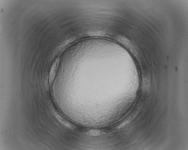 X0000080670441200612301404