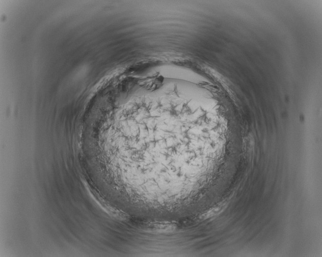 X0000080670443200612301404