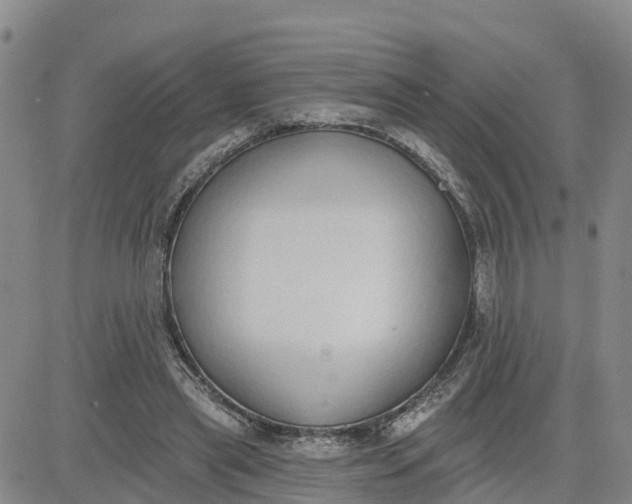 X0000080670445200612301404