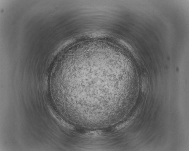 X0000080670447200612301404