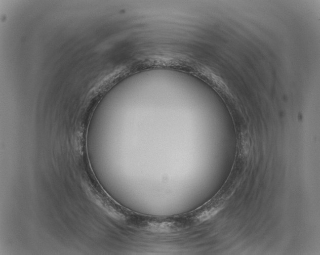 X0000080670450200612301404