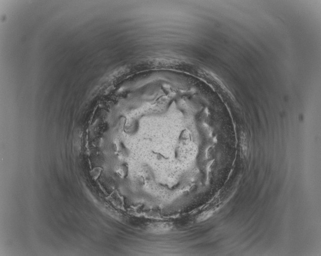 X0000080670451200612301404