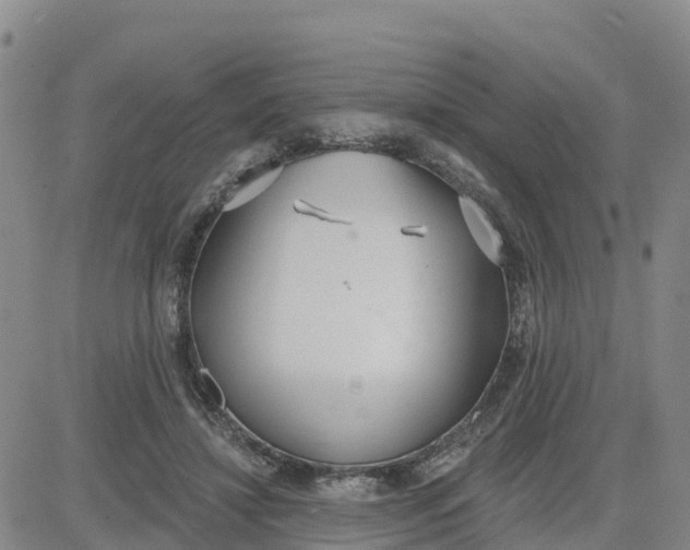 X0000080670452200612301404