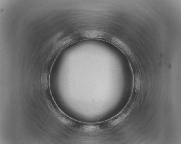 X0000080670453200612301404