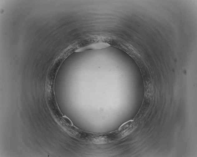 X0000080670456200612301404