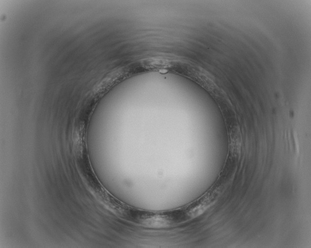 X0000080670460200612301404