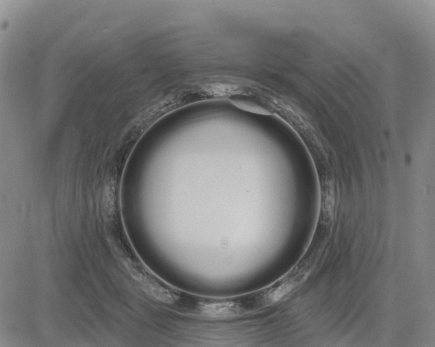 X0000080670461200612301404