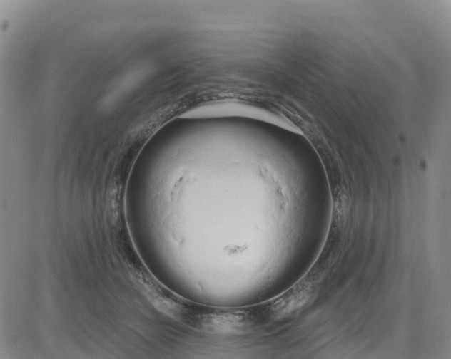 X0000080670462200612301404