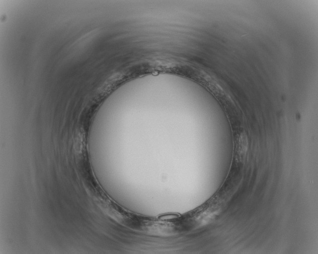 X0000080670463200612301404