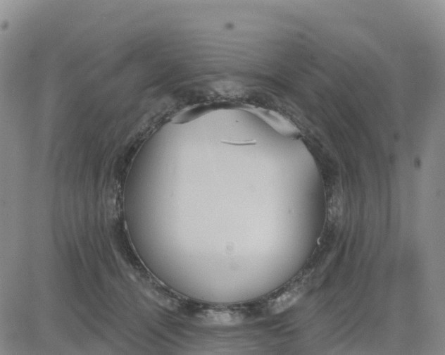 X0000080670464200612301404