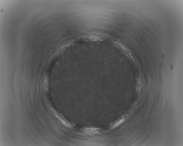 X0000080670465200612301404