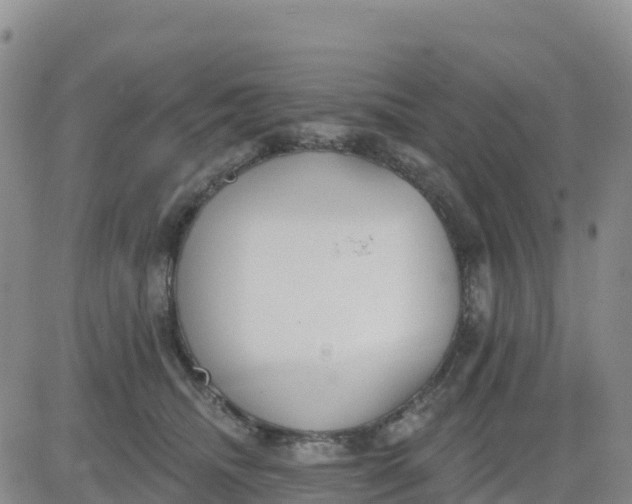 X0000080670468200612301404