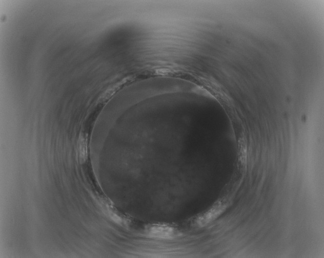 X0000080670471200612301404