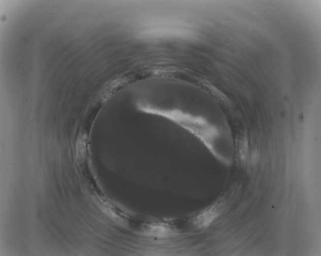 X0000080670475200612301404