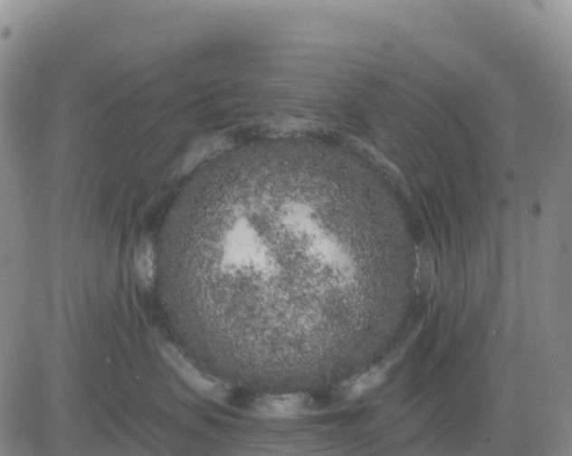 X0000080670479200612301404