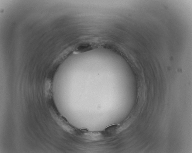 X0000080670480200612301404