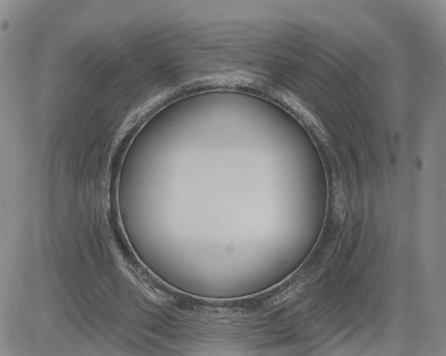 X0000080670486200612301404