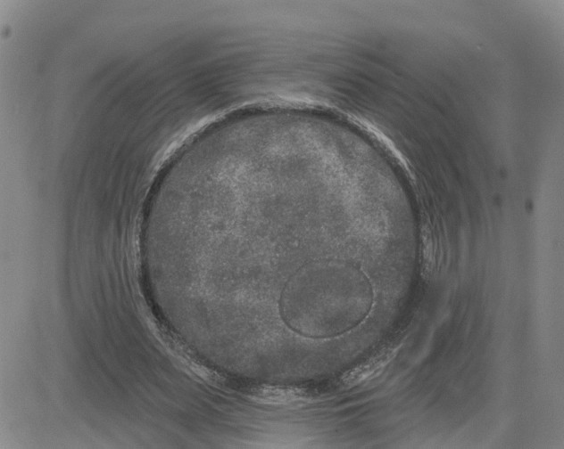 X0000080670487200612301404