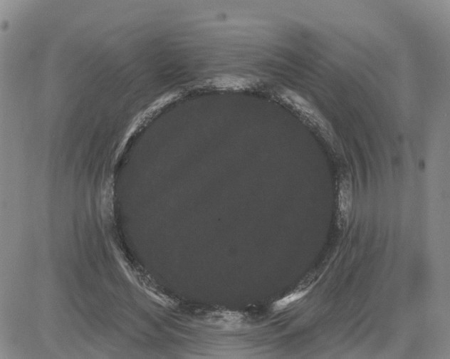 X0000080670492200612301403