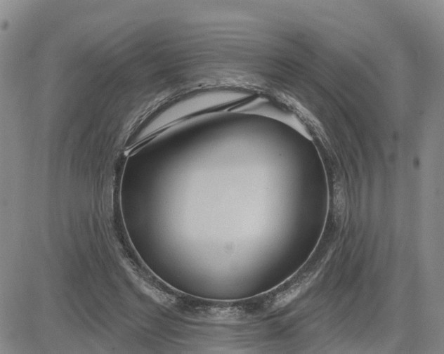 X0000080670493200612301403