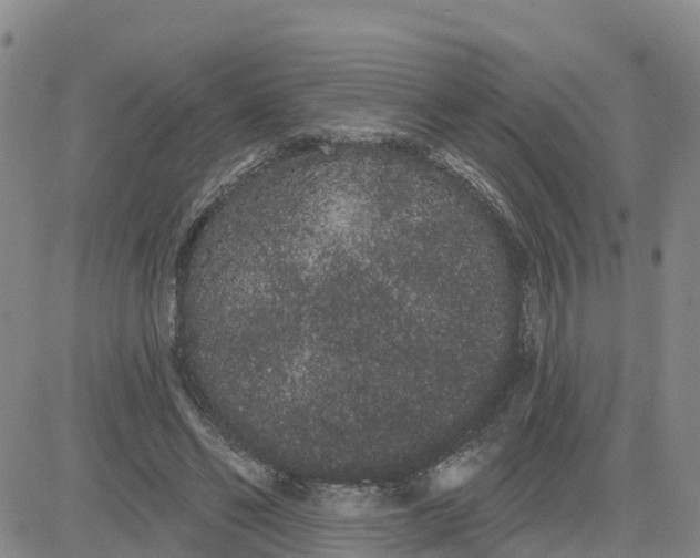 X0000080670494200612301403