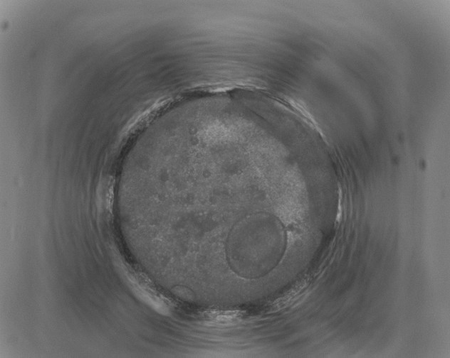 X0000080670495200612301403