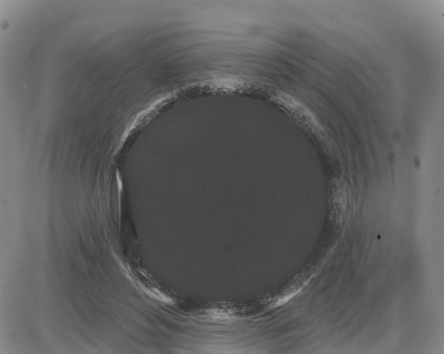 X0000080670496200612301403