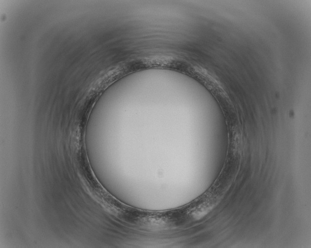 X0000080670498200612301403