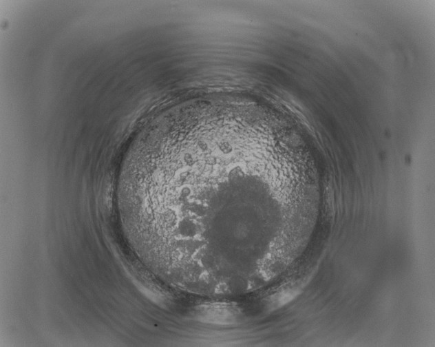 X0000080670499200612301403