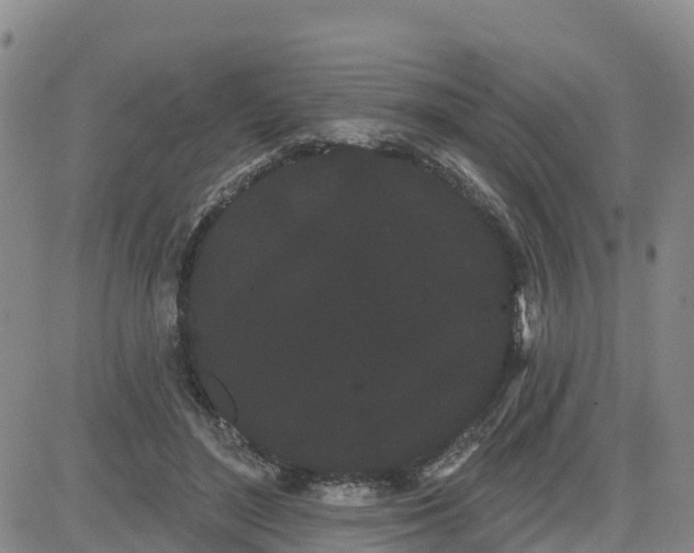 X0000080670500200612301403