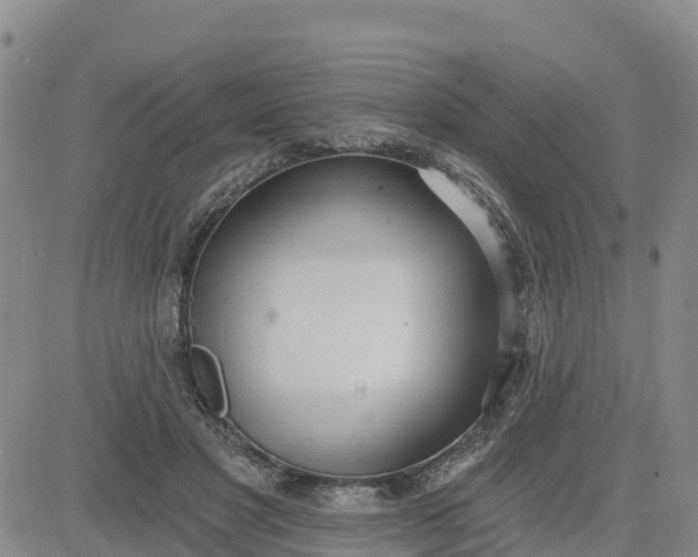 X0000080670501200612301403