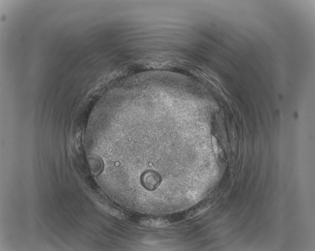 X0000080670503200612301403