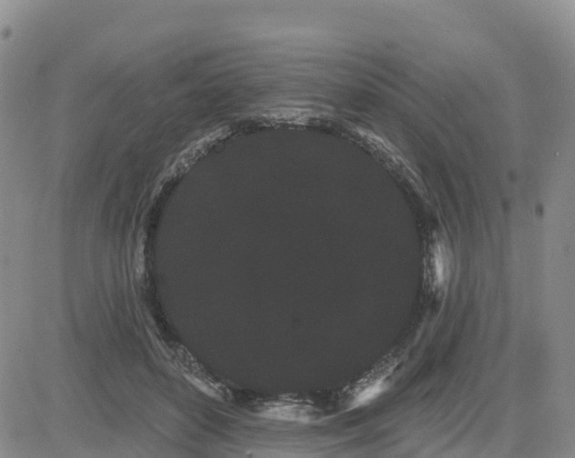 X0000080670504200612301403