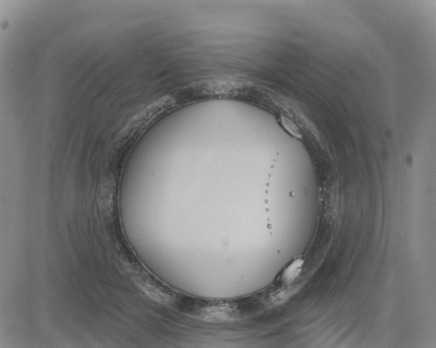 X0000080670505200612301403