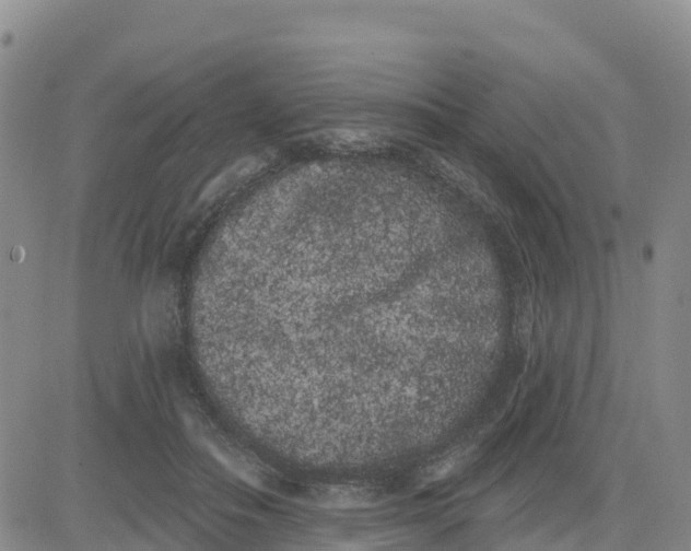 X0000080670506200612301403