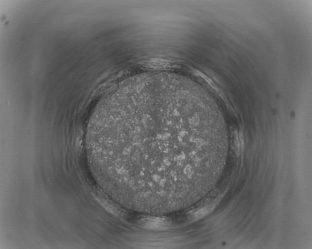 X0000080670507200612301403