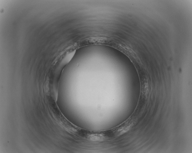 X0000080670508200612301403