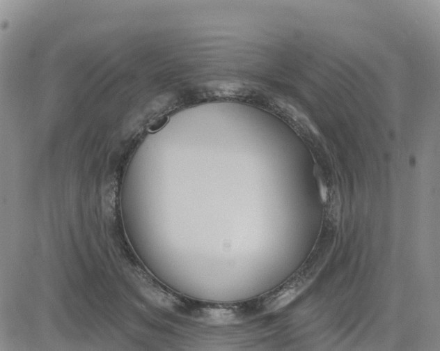 X0000080670509200612301403