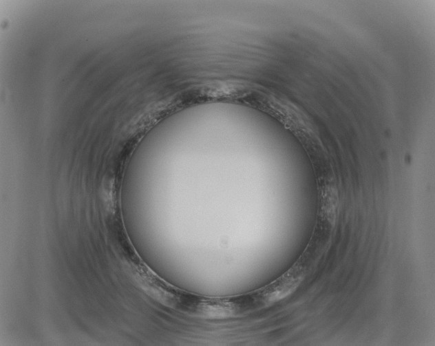 X0000080670510200612301403