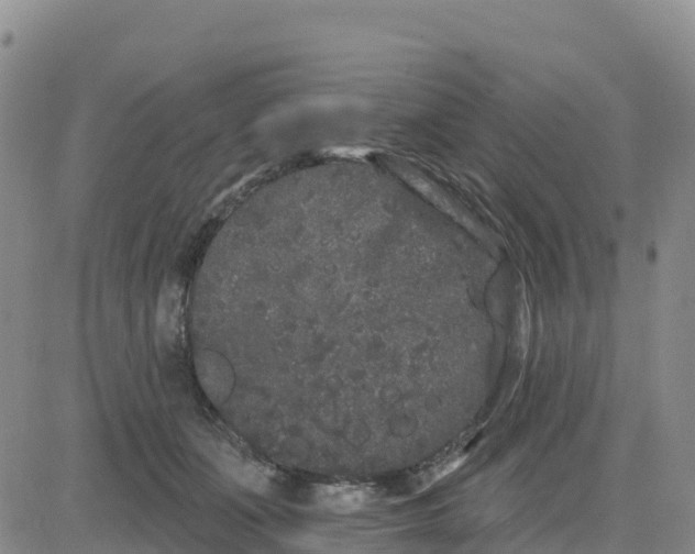 X0000080670511200612301403